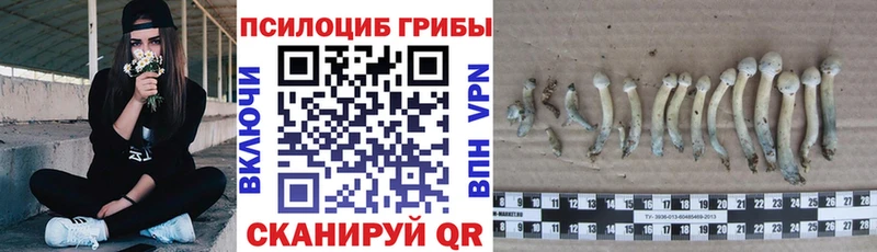 что такое наркотик Игарка Псилоцибиновые грибы Magic Shrooms